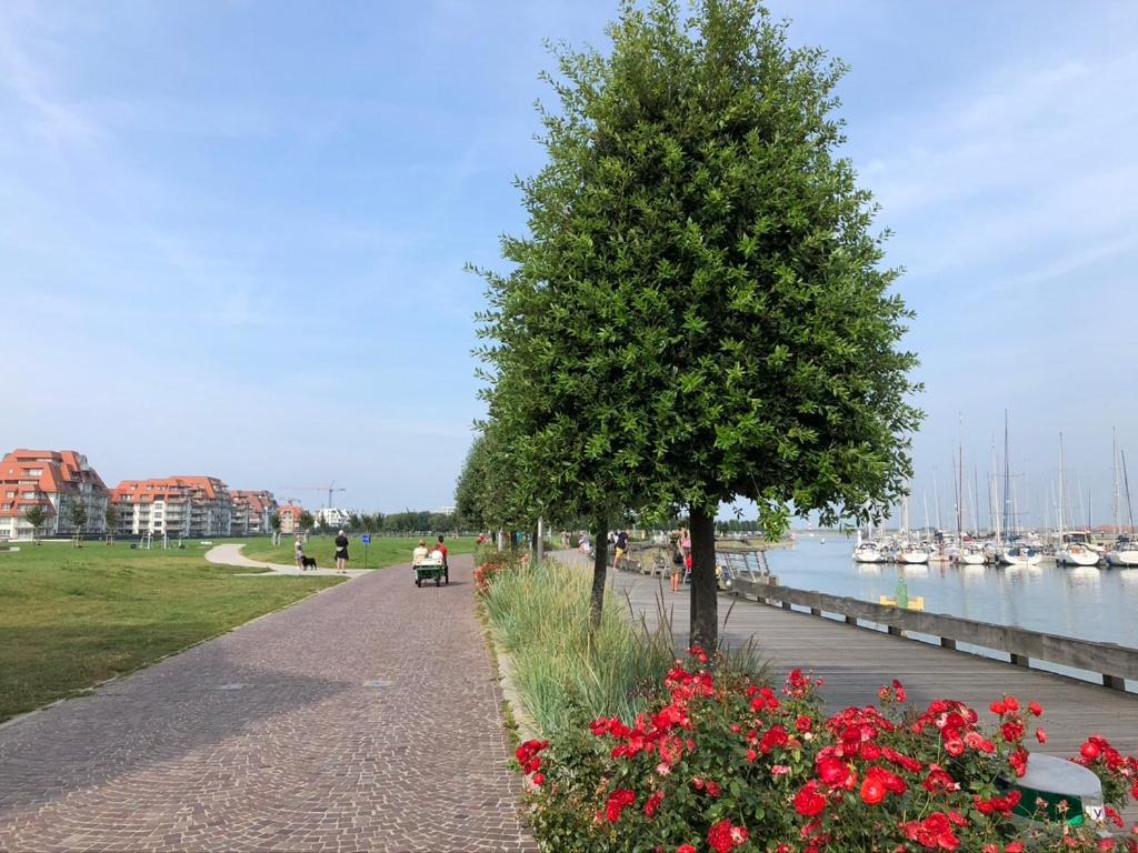 Amelotte Daire Nieuwpoort Dış mekan fotoğraf